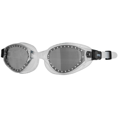Gafas de natación ARENA CRUISER EVO Gris/Negro 0